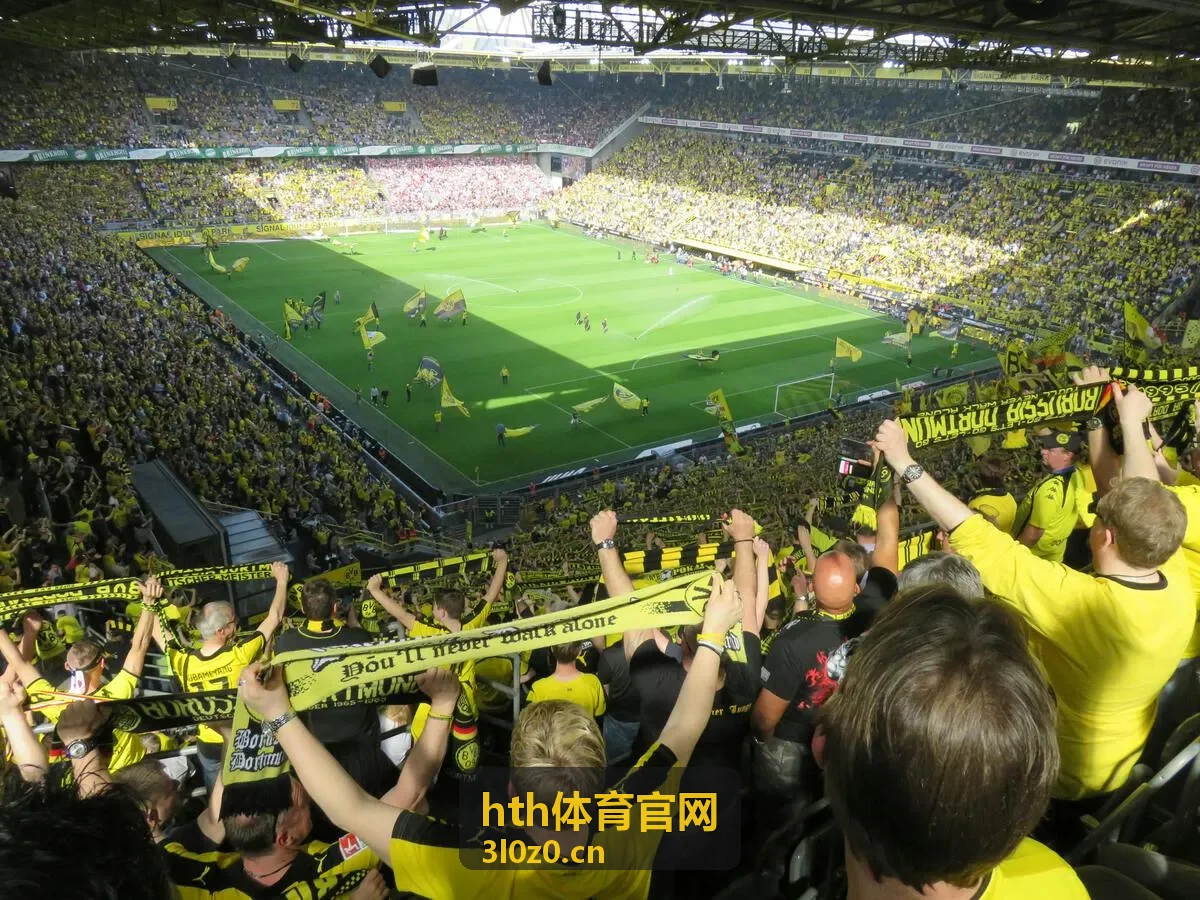 hth体育官网客户端赛程与比分界面预览