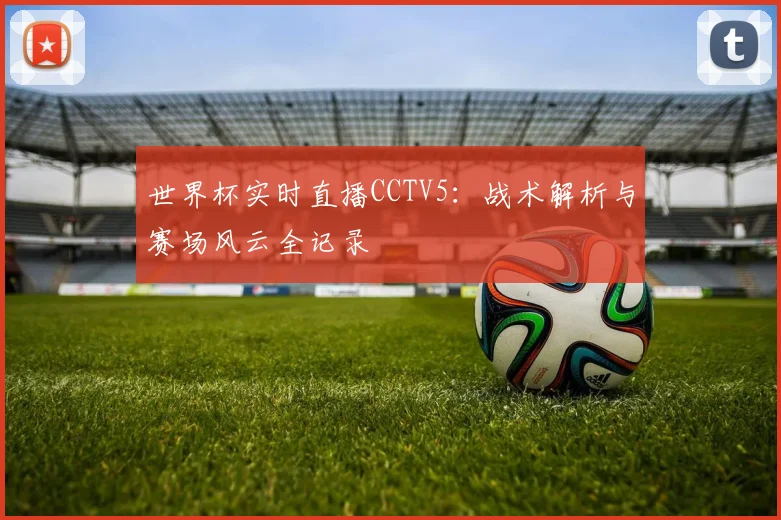 世界杯实时直播CCTV5:战术解析与赛场风云全记录