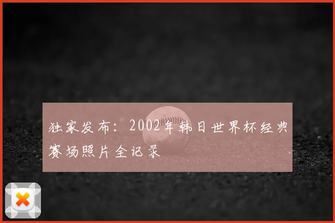 独家发布：2002年韩日世界杯经典赛场照片全记录