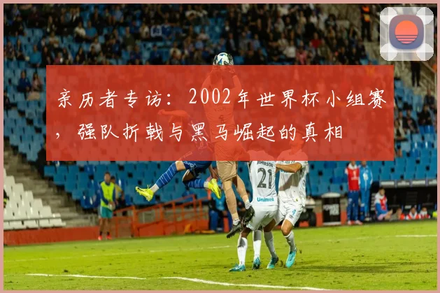 亲历者专访：2002年世界杯小组赛，强队折戟与黑马崛起的真相