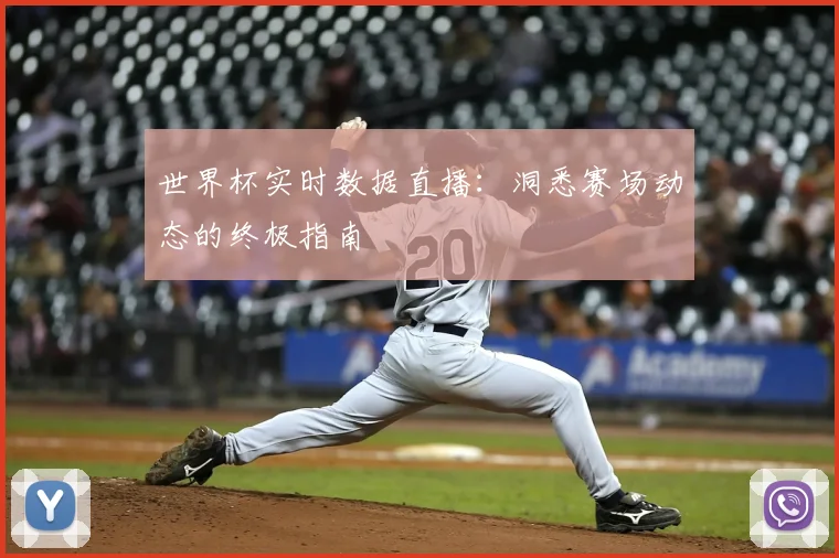 世界杯实时数据直播：洞悉赛场动态的终极指南