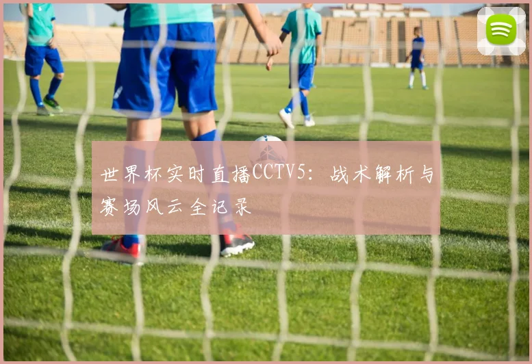 世界杯实时直播CCTV5:战术解析与赛场风云全记录