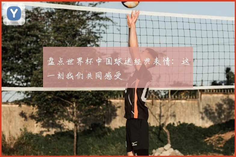 盘点世界杯中国球迷经典表情：这一刻我们共同感受