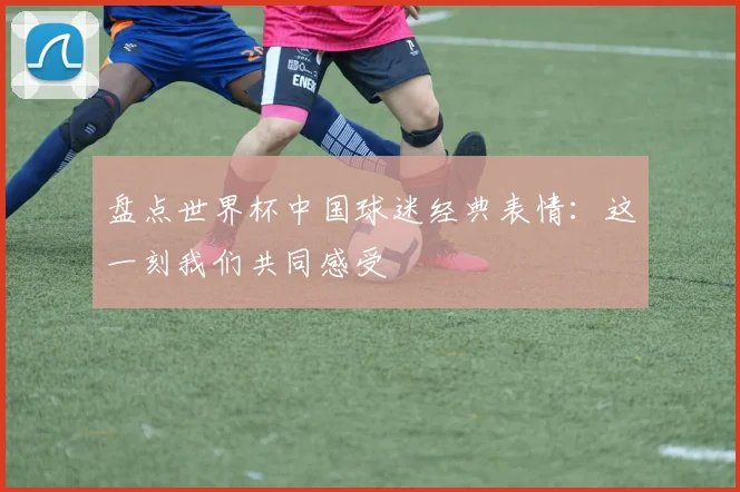 盘点世界杯中国球迷经典表情：这一刻我们共同感受