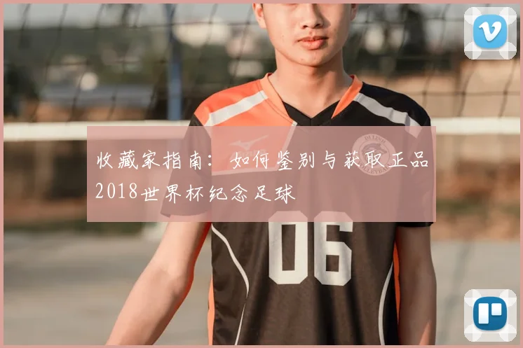收藏家指南:如何鉴别与获取正品2018世界杯纪念足球